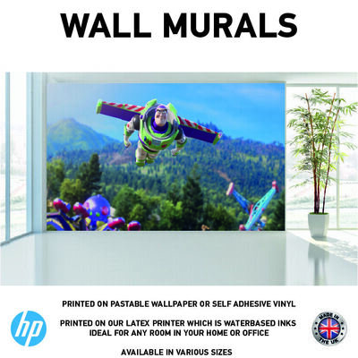 Cartoon Film Character Flying Wall Murals WallPaper Print Decal sticker WM0093