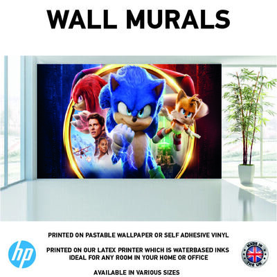 Hedgehog Cartoon Film Character Wall Murals WallPaper Print Decal sticker WM0098